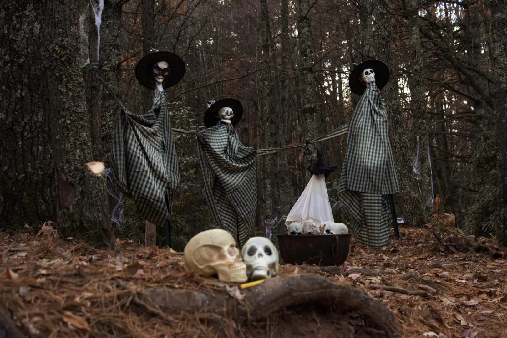 A group of people in the woods with skulls.