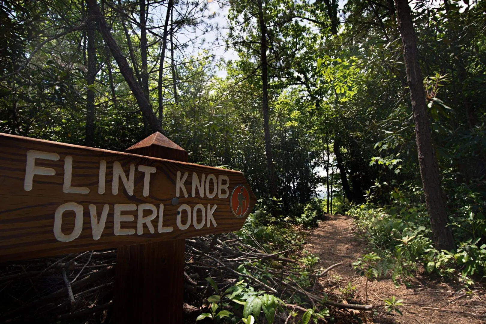 A sign that says " flint knob overlook ".
