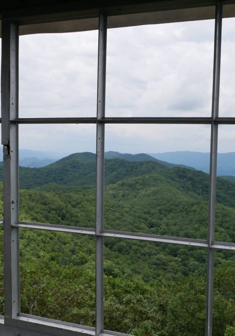 A view of the mountains from inside a window.